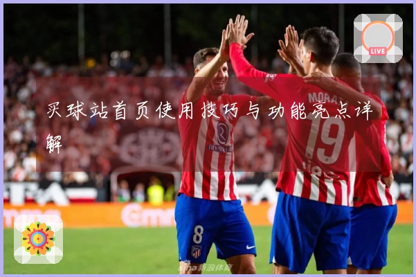 买球站首页使用技巧与功能亮点详解