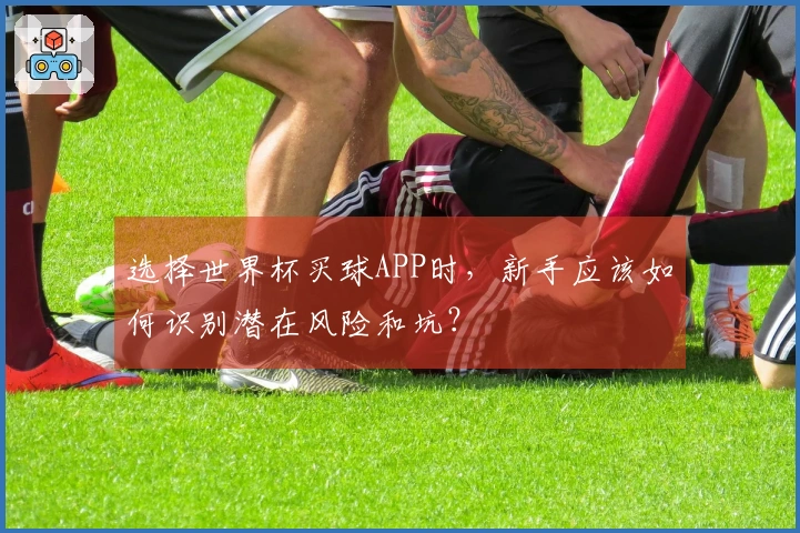 选择世界杯买球APP时，新手应该如何识别潜在风险和坑？