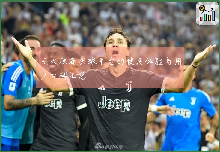 五大联赛买球平台的使用体验与用户口碑汇总