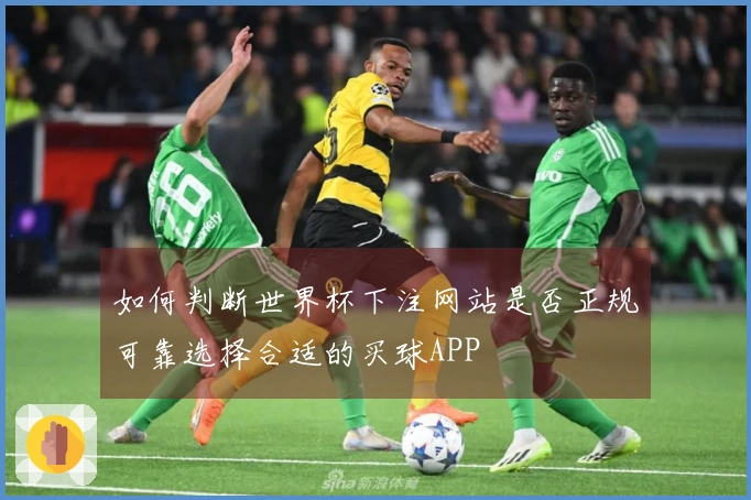 如何判断世界杯下注网站是否正规可靠选择合适的买球APP