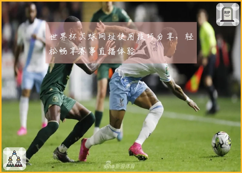 世界杯买球网址使用技巧分享，轻松畅享赛事直播体验