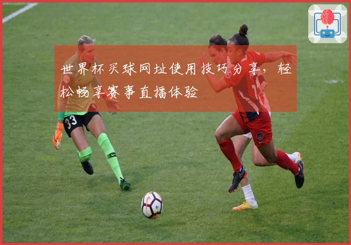 世界杯买球网址使用技巧分享,轻松畅享赛事直播体验