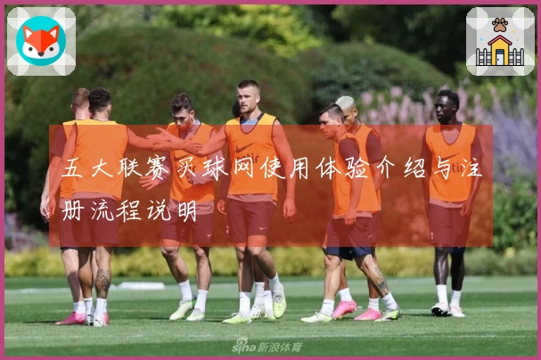 五大联赛买球网使用体验介绍与注册流程说明
