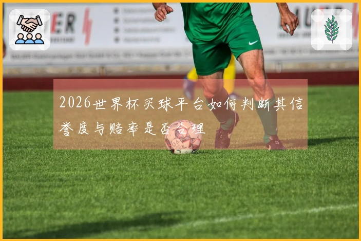 2026世界杯买球平台如何判断其信誉度与赔率是否合理
