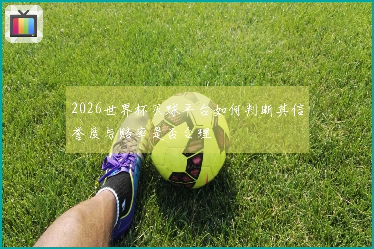 2026世界杯买球平台如何判断其信誉度与赔率是否合理