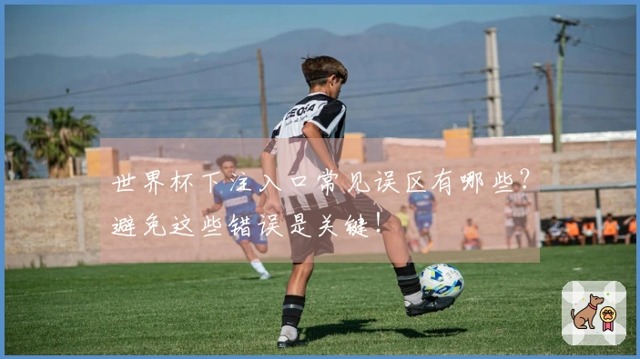 世界杯下注入口常见误区有哪些？避免这些错误是关键！