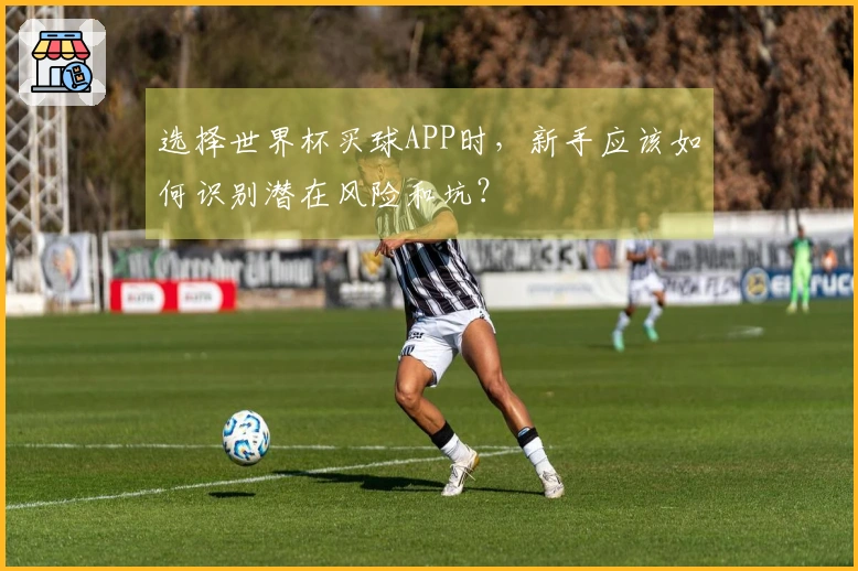 选择世界杯买球APP时，新手应该如何识别潜在风险和坑？