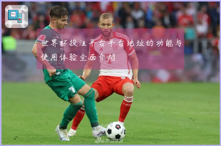 世界杯投注平台平台地址的功能与使用体验全面介绍
