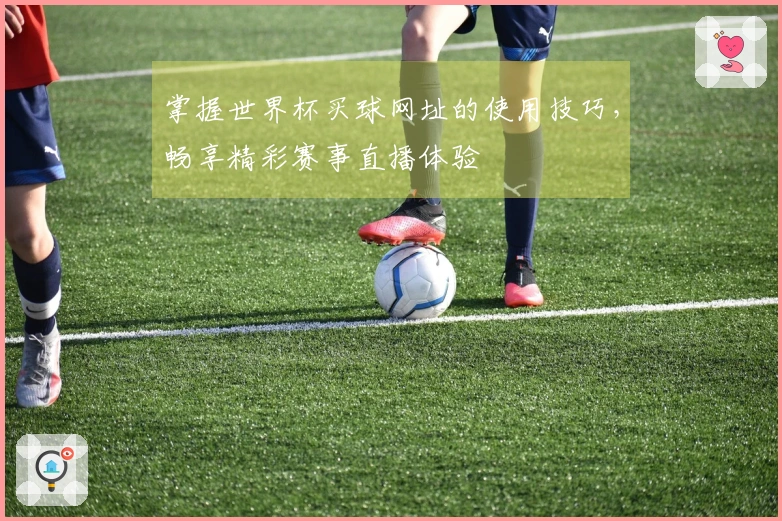 掌握世界杯买球网址的使用技巧，畅享精彩赛事直播体验