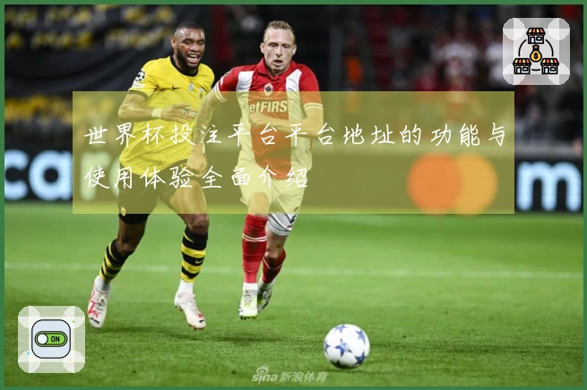 世界杯投注平台平台地址的功能与使用体验全面介绍