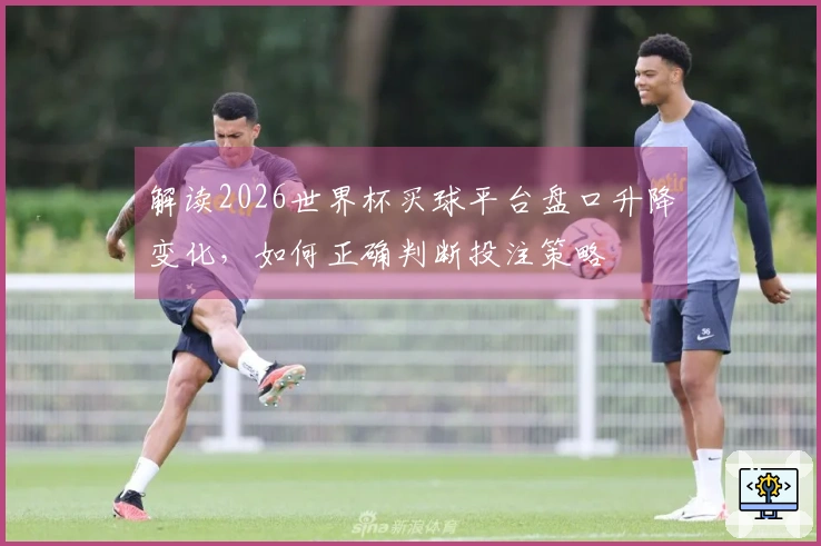 解读2026世界杯买球平台盘口升降变化，如何正确判断投注策略