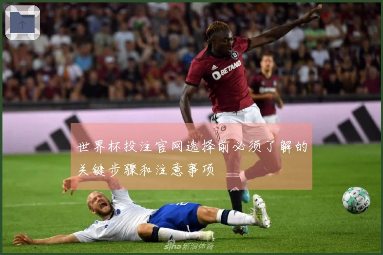 世界杯投注官网选择前必须了解的关键步骤和注意事项