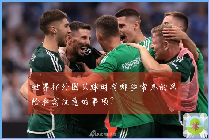 世界杯外围买球时有哪些常见的风险和需注意的事项？