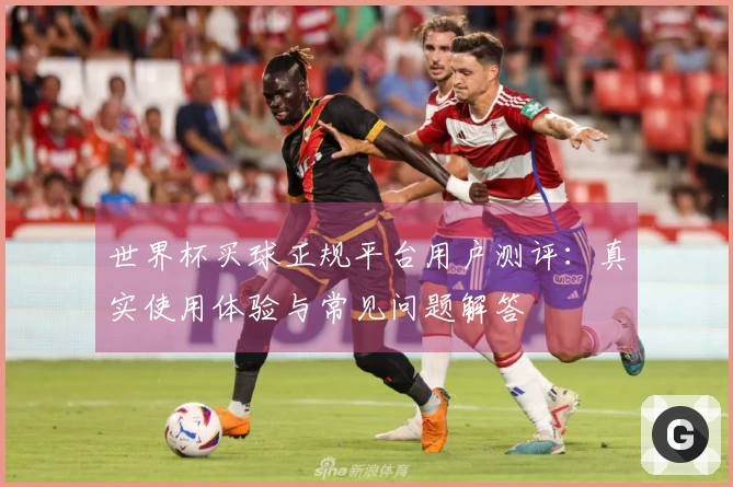 世界杯买球正规平台用户测评:真实使用体验与常见问题解答