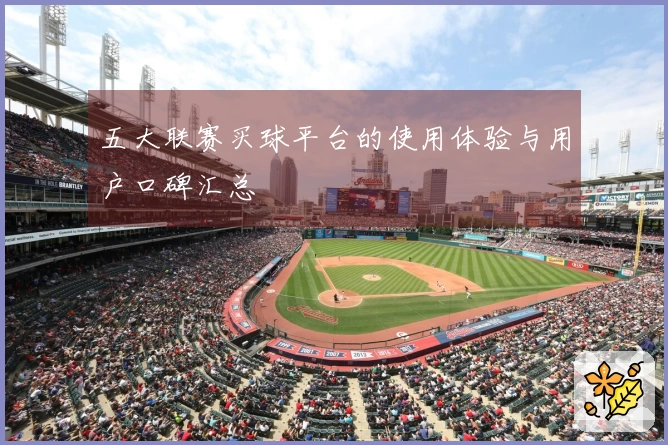 五大联赛买球平台的使用体验与用户口碑汇总